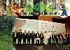 Global rubber output to drop as farmers curtail tapping